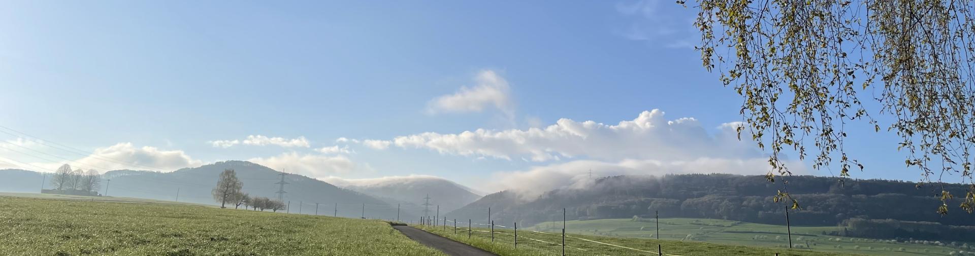 Frühling